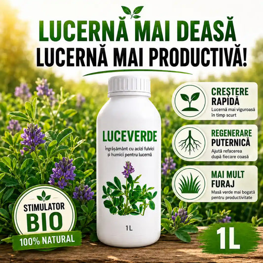 LuceVerde™ – Lucernă Deasă 1L